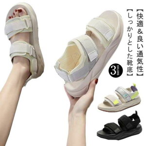 T_ fB[X  X|[cT_ T_ ~ r  ₷ RtH[g V[Y y C Xj[J[T_ JWA XgbvT_ r[`T