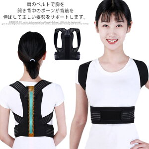 LwT|[^[ Lwxg pxg pT|[^[ w؃xg pT|[^[  Lw jp pxg ˂w p𐮂鐮̎t j  q  