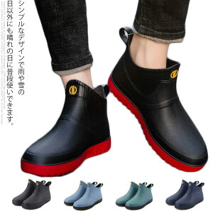 Cu[c CV[Y Y u[c rWlX ʊw ʋ   C JC J΍ h nCJbg Jp ~ Lk y ₷ 2.5cmq[ JWA 