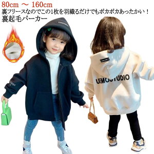 HD t[ht LbY t[X ̎q  CgAE^[ h XEFbg q h WjA N p[J[ Wbvp[J[ j̎q gbvX WbvAbvp[J[ JW