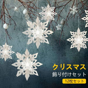 i Xm[ I[ig  Vo[ NX}X NX}X NX}Xc[ 12Zbg I[ig 3D 킢 fR[V K[h CeA Xm[t[N 12Zbg 