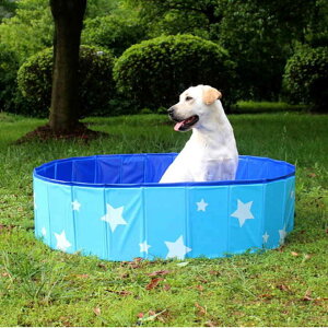 oXObY qp ƒ Csv ܂肽ݎ q̐Vуv[ ybgp eqV V[pv[ [֗ v[ AEghAKp