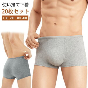 ʕ Y ĝăpc  gxV[c {NT[pc ĝ p pc s  20 20 g @ ĝĉ h ЊQ K Y {p h