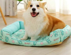 t [xbh ėpxbh ybgxbh  pi ybgxbh N[V pĐQ Lpi ybg  ybgxbh 