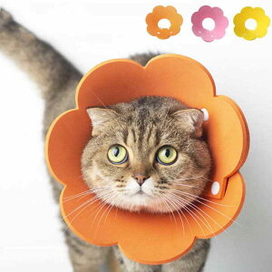 GUxXJ[ Lp 炩 JWA  p  rߖh~ ی 킢  y  畆a  ΍ EVA y  