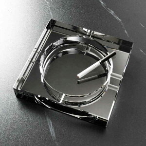 DM NX^ KX DM  傫TCY v[g 蕨 ̓ 2021 qObY ItBX Mtg