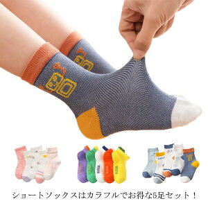 q C  qp V[g\bNX AN\bNX 5Zbg ̎q j̎q xr[ ۈ牀 ct ʉ ʊw XN[ X|[c t ʋC 킢 v[g j 0-12