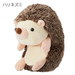 y|Cg10{z bsO܂I ӂ΂邸 (M[TCY) ǂԂ ˂ ʂ ItBX ׋ ˂ȂȂĂ Č p_ Ȃ܂ n