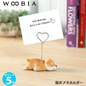 y|Cg 5{zWOOBIA Č z_[ H23216 E[rA 킢 ܂߂  u CeA Mtg v[g