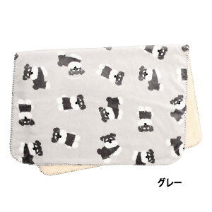 y|Cg 5{zViEU[ Xl 3way Ђ| uPbg tl {A ~ Mtg v[g 킢  g |`ɂ {ɂ 3way ~j`AVi