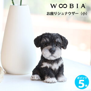 y|Cg 5{zWOOBIA ViEU[ij H25096 E[rA 킢 ~j`AViEU[ u tBMA CeA ViEU[ObY ViF Mtg v[g