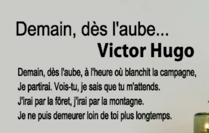 楽天市場 ウォールステッカー フランス語 ヴィクトルユーゴー 明日 夜明けに フランス語シリーズ French 仏語 アルファベット トイレ ガラス 窓 Wall Sticker 壁デコ 北欧 はがせる ホーム デコレーション おしゃれ モノトーン 送料無料 シール France ウォール