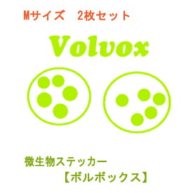 楽天市場 スマホ 本体 壁紙 装飾フィルム インテリア 寝具 収納 の通販