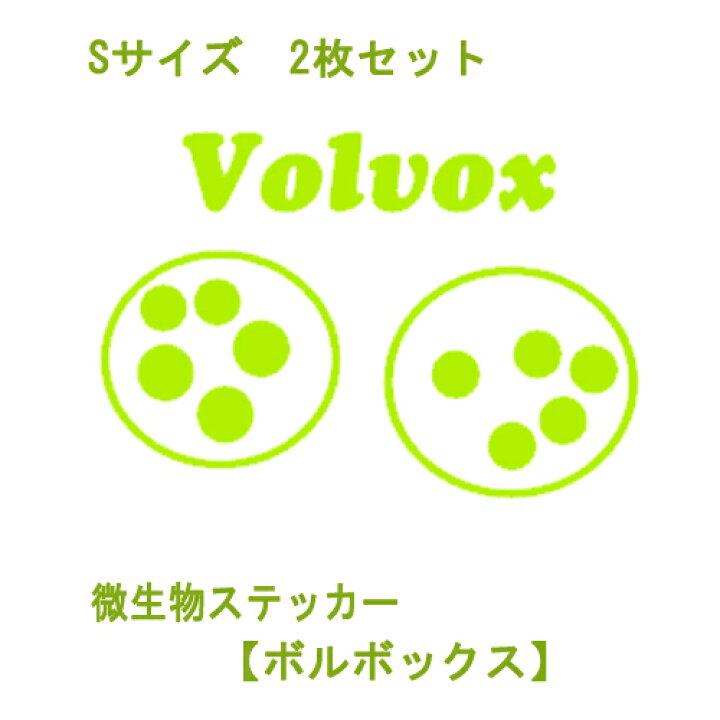 楽天市場 ウォールステッカー 微生物シリーズ ボルボックス Sサイズ Volvox 北欧 壁紙 簡単 人気 インテリア ステッカー 転写 はがせる 自然 シンプル デコレーション 文字ステッカー オススメ インスタ映え Wall Sticker Seal シール スマホ 窓 理科 生物 オリジナル 楽天市場 ウォールステッカー 微生物シリーズ ボルボックス Sサイズ Volvox 北欧 壁紙 簡単 人気 インテリア ステッカー 転写 はがせる 自然 シンプル デコレーション 文字ステッカー オススメ インスタ映え Wall Sticker Seal シール スマホ 窓 理科 生物 オリジナル