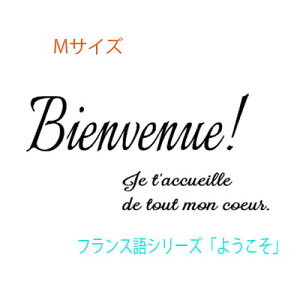 Vi EH[XebJ[ tX Bienvenue2 WelcomeV[Y MTCY  At@xbg gC KX  wall sticker ǃfR k ͂EH[XebJ[ mg[  悤