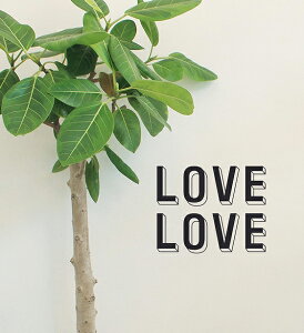 EH[XebJ[ LOVE LOVE uu ]ʎ rO p At@xbg z[  ANZg  k mg[ [  wall sticker V[