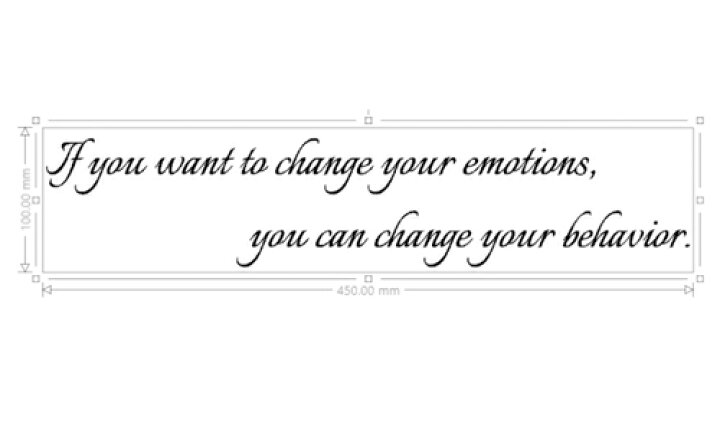 楽天市場 ウォールステッカー シンプル 名言集1 If You Want To Change Your Emotions You Can Change Your Behavior 英語 ガラス 窓 Wall Sticker 壁デコ 北欧 はがせる インテリア 部屋 おしゃれ インスタ映え モノトーン メール便 送料無料 シール Window