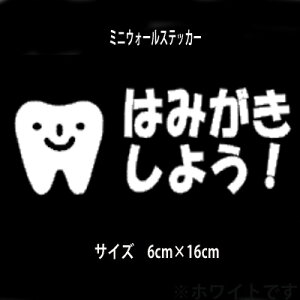 EH[XebJ[  ݂͂悤I [  q EH[XebJ[ ʏ   n~KL  X ݂  f^ NjbN dental teeth V[
