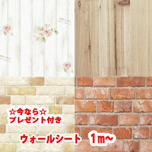 [EH[V[g]ûtǎv ǎK@ؐ@JbeBOV[g EH[XebJ[ ǎ EH[V[g ̂tǎ k ǎ K ͂ Kǎ k ͂