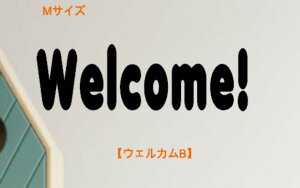 EH[XebJ[ EFJB MTCY welcome 䂤pbN ǎ  EH[XebJ[ Vv ǃV[ ǃXebJ[  ǎ fR[V CeA }V ͂