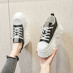  Xj[J[ fB[X [Jbg   ꂢ  gAbv 6cm+ C  fB[X אg Xj[J[fB[X ₷ uh ؍ Xj[J[ y _bh