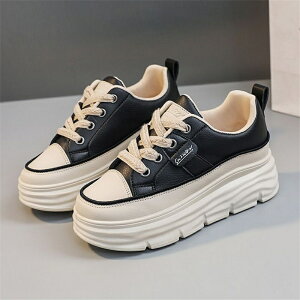  Xj[J[ fB[X [Jbg   ǐF ꂢ  gAbv 4cm+ C  fB[X אg Xj[J[fB[X ₷ uh ؍ Xj[J[ y _
