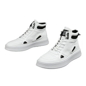  Xj[J[ Y JWAV[Y nCJbg  t  JWA gAbv t@bV Xg[gR[f [N ꂢ C אg Xj[J[Y ₷ u