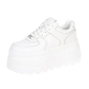  Xj[J[ fB[X [Jbg  t  JWA gAbv {v y 8cm ꂢ C  אg Xj[J[fB[X ₷ uh ؍ y _bhXj[J[ 