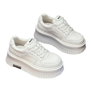  Xj[J[ fB[X [Jbg   JWA gAbv Xg[gR[f H Nі X|[c ؍ 6cm ꂢ C  אg Xj[J[fB[X ₷ u