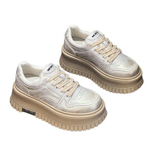  Xj[J[ fB[X [Jbg   JWA gAbv Xg[gR[f H Nі X|[c ؍ 6cm ꂢ C  אg Xj[J[fB[X ₷ u