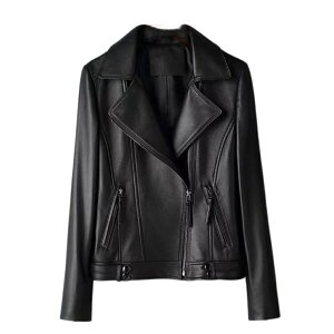 U[WPbg fB[X {v WPbg U[ U[ XtBbg t H V[g X[c vW C_[XWPbg W { AE^[ C_[X {vWP