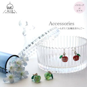 ySALEIz i  S  O[ Abv apple i t[c   KX CO sAX fB[X t[cANZT[ ʕ 킢  