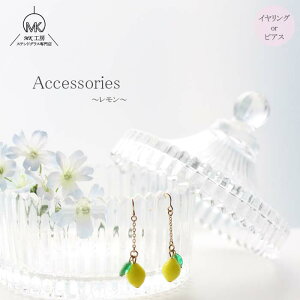 yVIz   EG ʕ t[c  ʎ F KX CO sAX fB[X ANZT[ t[cANZT[ 킢   v[g nh