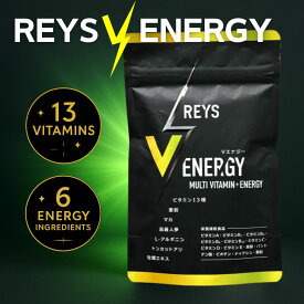 レイズ Vエナジー REYS V ENERGY マルチビタミン タブレット 120粒 30日分 ビタミン13種配合 栄養機能食品 山澤礼明 送料無料 REYSシリーズ