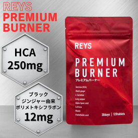 レイズ プレミアムバーナー REYS PREMIUM BURNER タブレット 120粒 30回分 ガルニシア HCA ブラックジンジャー カルニチン ヒハツ αリポ酸 カフェイン ナイアシン パントテン酸 山澤礼明 REYSシリーズ