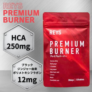 ���C�Y �v���~�A���o�[�i�[ REYS PREMIUM BURNER �^�u���b�g 120�� 30�� �K���j�V�A HCA �u���b�N�W���W���[ �J���j�`�� �q�n�c �����|�_ �J�t�F�C�� �i�C�A�V�� �p���g�e���_ �R�V�疾 REYS�V���[�Y