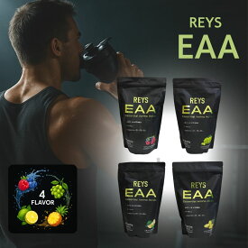 レイズ EAA REYS eaa サプリメント 必須アミノ酸 9種配合 600g 栄養機能食品 粉末 1日分のビタミンB群 3種配合 山澤礼明 送料無料 REYSシリーズ