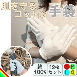 Rbg 12Zbg STCY MTCY LTCY XLTCY Rbg 100 Ȏ   AQ ĝ r v Y fB[X nhPA