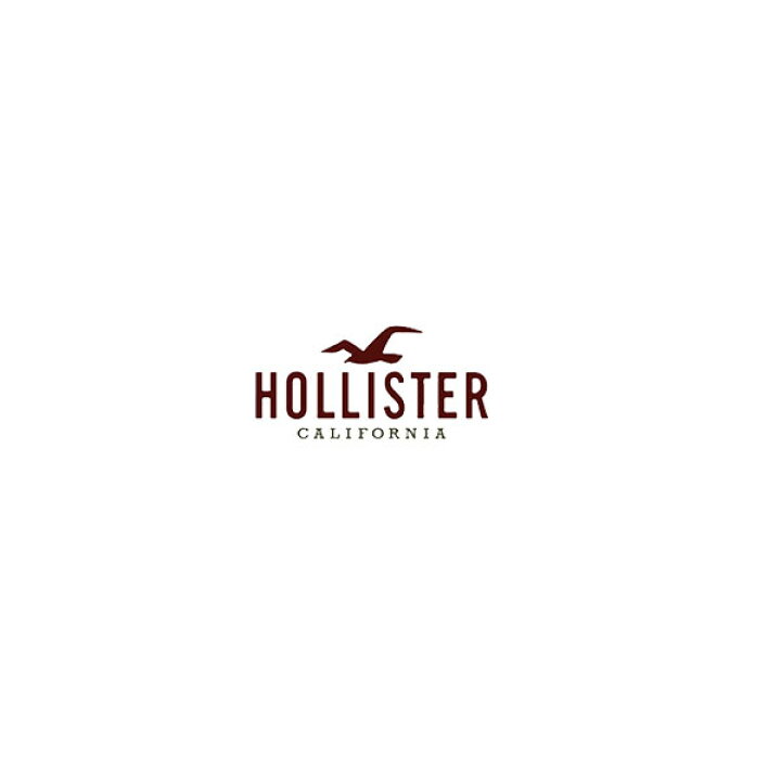 市場 ホリスター クルーネック ポケット Tシャツ Hollister お買い得 2枚セット アソート メンズ