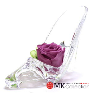 Mtgt[ vU[uht[ ANnCq[ fB[X Y Preserved Flower v`Mtg NA×p[v PZ822CL