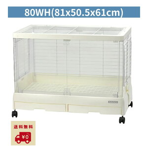 yr[Ttz OW C[W[z[ VCj[ 80WHi81×50.5×61cmj