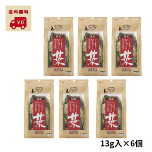 yr[Ttz wV[Vs ̗t 13g×6R