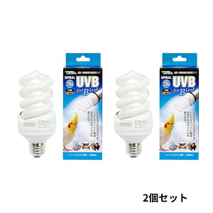 yr[Ttz roA XpCUVB For Bird26W 2