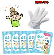 ■送料無料のお買い得セット■【水のいらない泡なしシャンプー　ウェット手袋5セット販売(10枚)】　四国…