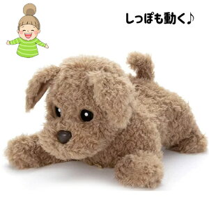 j[A􉹐FǉyƂ肱_bL[z ^Jg~[A[c@R~jP[V{bg