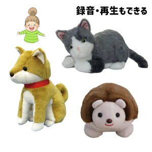 t@~[R~jP[VV[Yy点~C 点n 点n`z@Qnd@