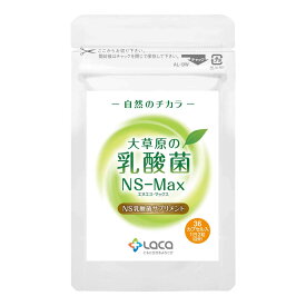 大草原の乳酸菌 NS-Max（36粒入）【1日2粒／約18日分】