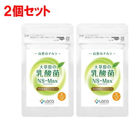 大草原の乳酸菌 NS-Max（36粒入）2個セット【1日2粒／約18日分】