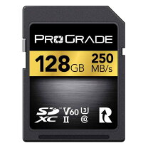 楽天市場】prograde sdxc v90 256gbの通販