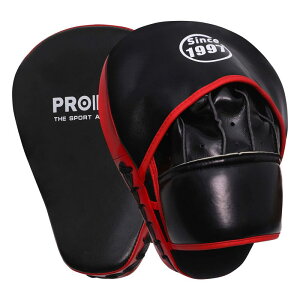 PROIRON �p���`���O�~�b�g �{�N�V���O�~�b�g �L�b�N�{�N�V���O �i���Z ��� �e�R���h�[ ���K�p 2�Z�b�g �t���[�T�C�Y